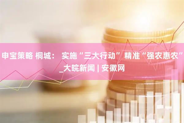 申宝策略 桐城： 实施“三大行动” 精准“强农惠农”_大皖新闻 | 安徽网