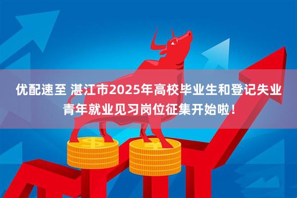 优配速至 湛江市2025年高校毕业生和登记失业青年就业见习岗位征集开始啦！