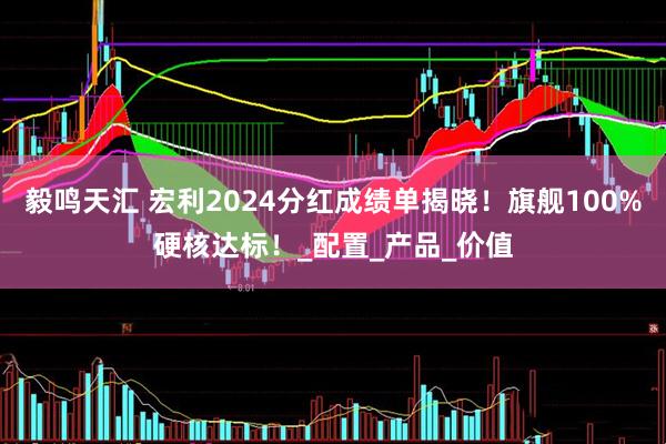 毅鸣天汇 宏利2024分红成绩单揭晓！旗舰100%硬核达标！_配置_产品_价值