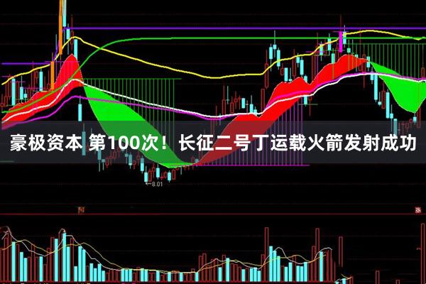 豪极资本 第100次！长征二号丁运载火箭发射成功