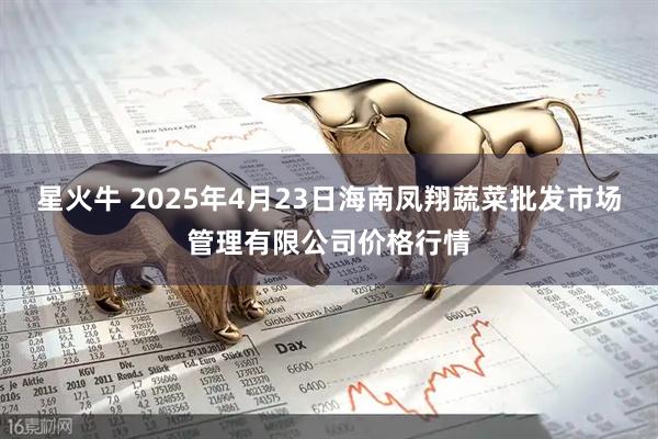 星火牛 2025年4月23日海南凤翔蔬菜批发市场管理有限公司价格行情